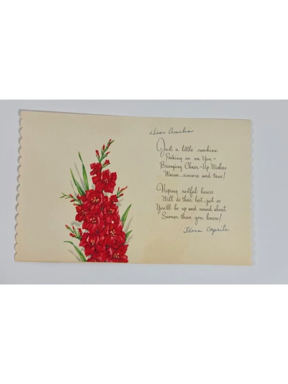 Vintage Greeting Card Silver Butterfly & Red Gladiolus Flowers Bringing Cheer-Up